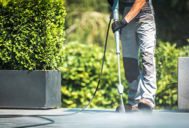 Animal Enclosure Cleaning in North Richland Hills, TX